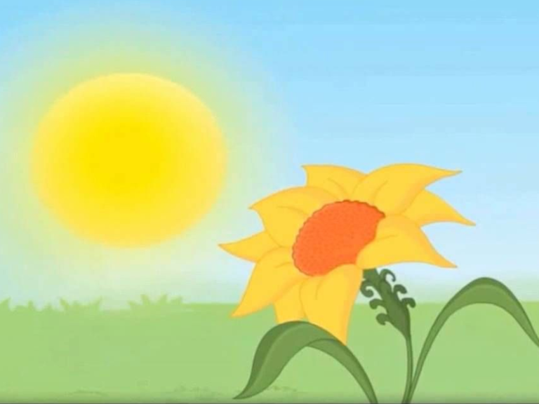 Why Kids Can’t Get Enough of the Sunflower Squad