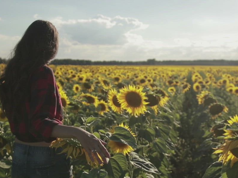 Is There Really Magic in Sunflower Valley?